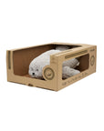 Moonie - 2.0 - Humming seal Light & Sound - gray