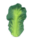 Oli & Carol - kendall the kale baby teether