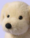 Jellycat - golden puppy