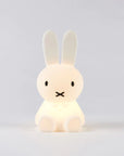Mr Maria - mini miffy bundle light
