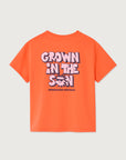 American Vintage - fizvalley t-shirt - mandarine