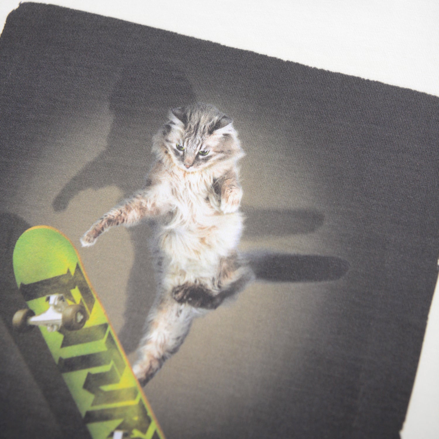 Molo - riley - sCATe t-shirt - white