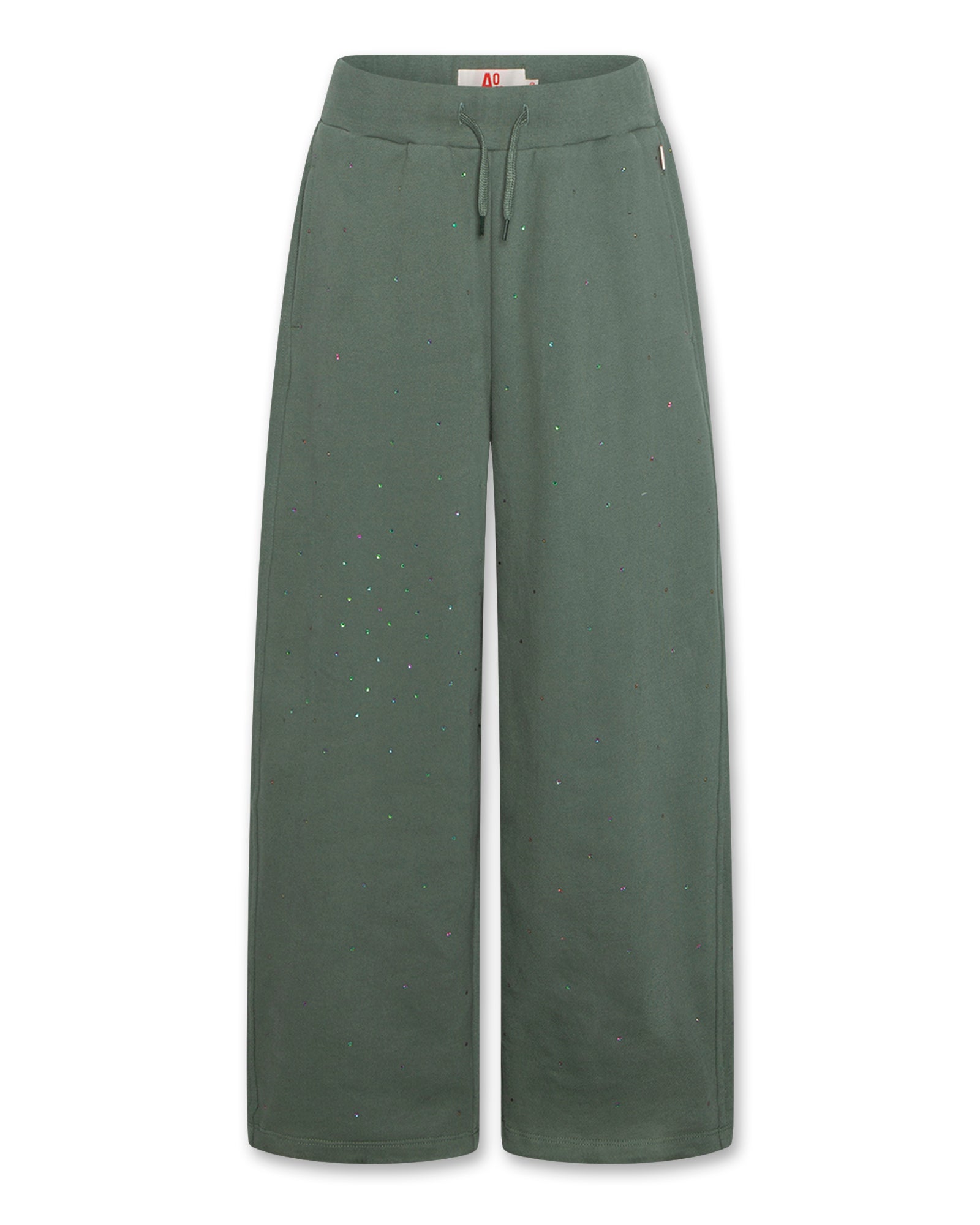 American outfitters - belga pants strass - forest