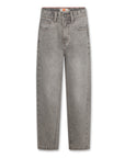 American outfitters - coco pants blake - light grey