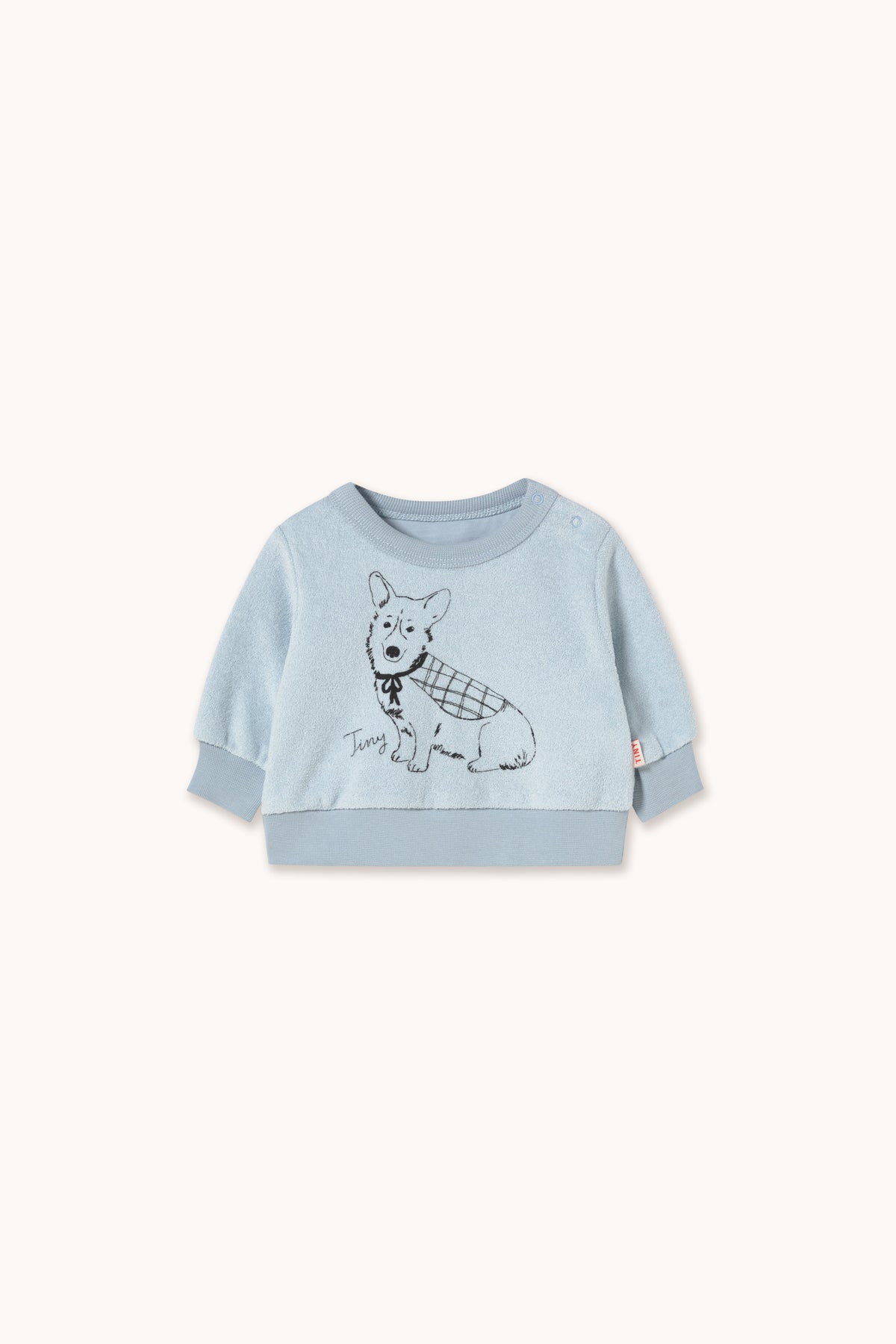 Tiny Cottons - baby - corgi sweatshirt - washed blue