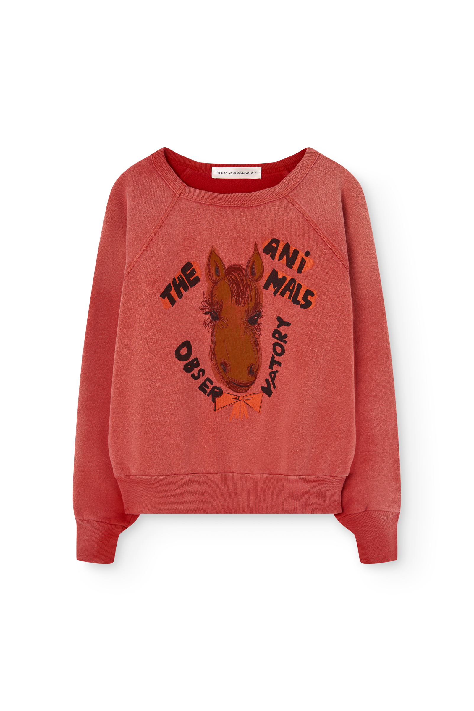 The animals observatory - kids - shark warm sweatshirt - red