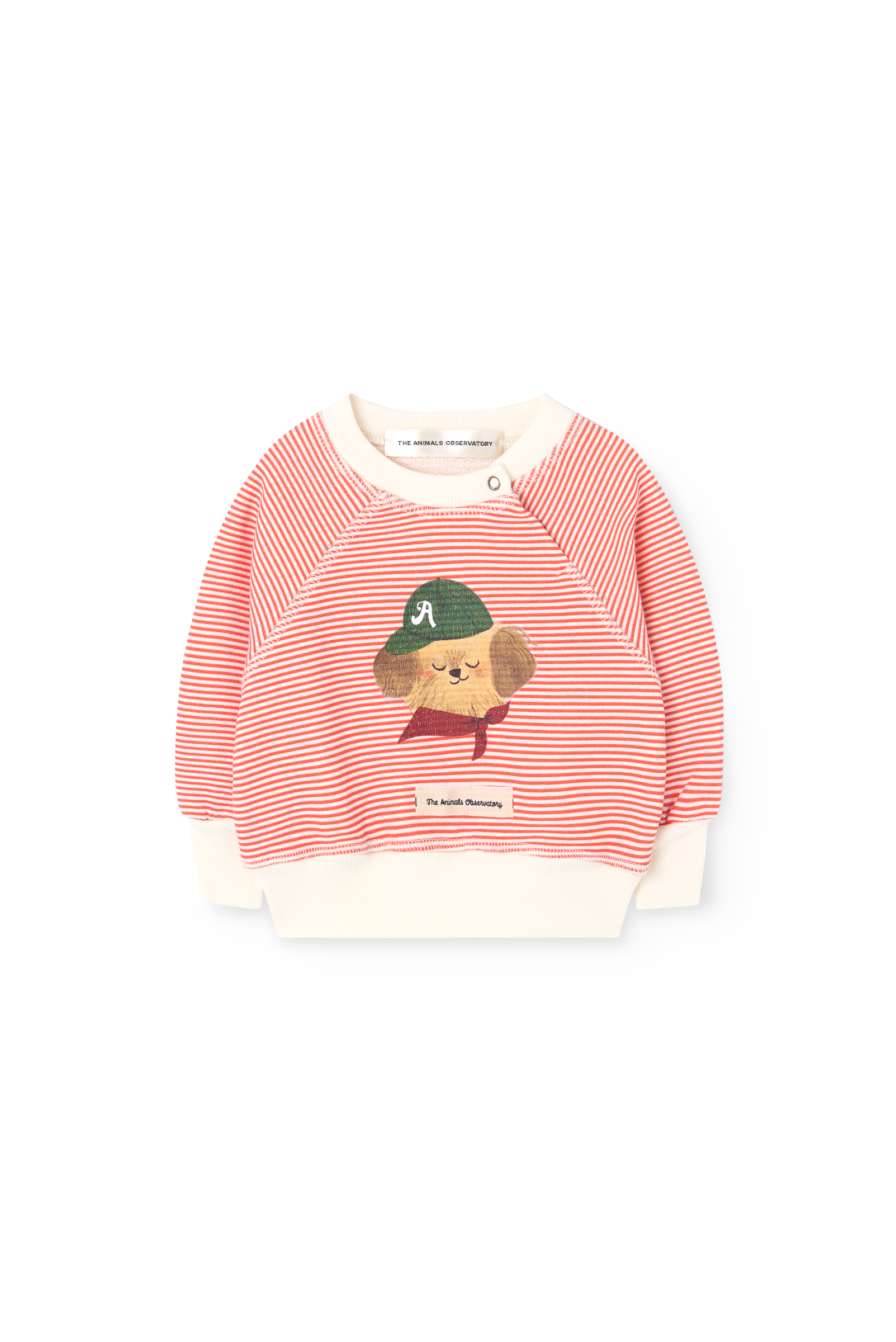 The animals observatory - baby - jackal sweatshirt - raw white