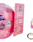 Clickeez - hello kitty & friends surprise