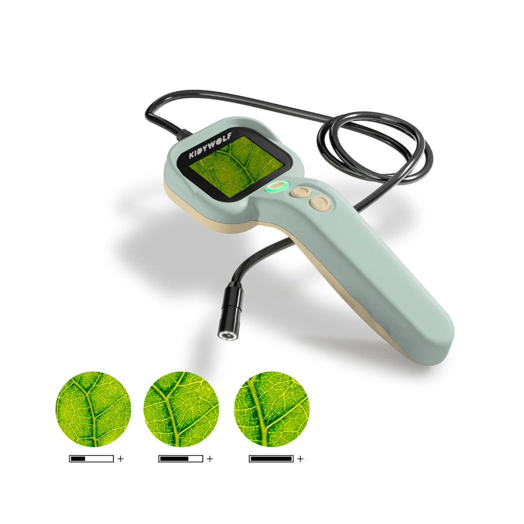 Kidywolf - kidyexplore - spy cam