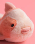 Jellycat - fancy carp