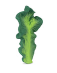 Oli & Carol - kendall the kale baby teether