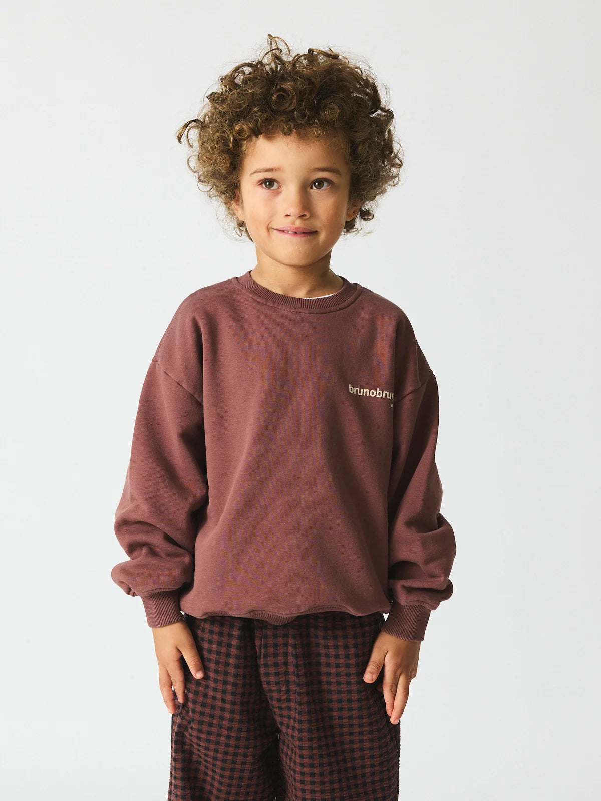 Brunobruno nation - norah sweatshirt - marron plum