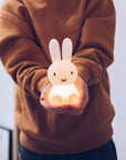 Mr Maria - mini miffy bundle light