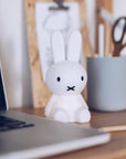Mr Maria - mini miffy bundle light