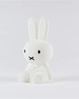 Mr Maria - mini miffy bundle light