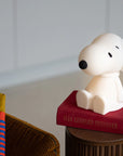 Mr Maria - mini snoopy bundle light