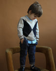 1+ in the family - robin - big check fleece trousers - dark blue