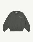Main Story - crew fleece sweatshirt - peat