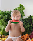 Oli & Carol - wally the watermelon baby teether